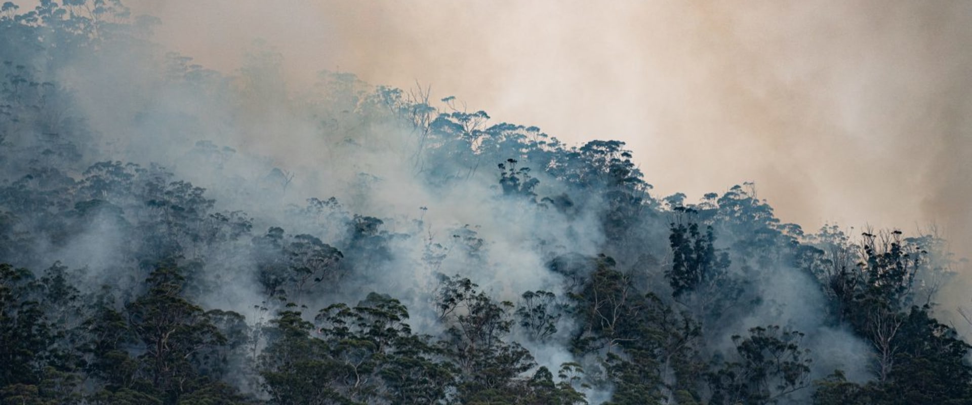 Climate Change Litigation: Understanding the Legal Education System in the UK